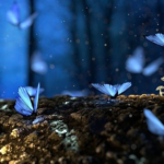 Fadas, quem são? Origem, mitologia e hierarquia das fadas! O que são fadas?