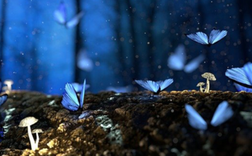 Fadas, quem são? Origem, mitologia e hierarquia das fadas! O que são fadas?