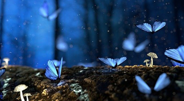 Fadas, quem são? Origem, mitologia e hierarquia das fadas! O que são fadas?