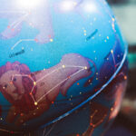 Quais as vantagens de fazer consulta com astrólogo? consulta com astrólogo