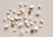 Quero jogar Búzios, o que devo perguntar? jogar buzios o que perguntar