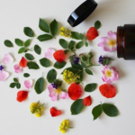 O que são plantas medicinais? Conheça mais sobre essa cura orgânica O que são plantas medicinais