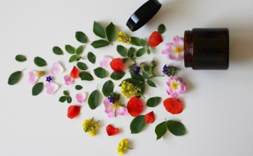 O que são plantas medicinais? Conheça mais sobre essa cura orgânica O que são plantas medicinais