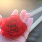 O que é amar de verdade? Vamos falar sobre amor verdadeiro! O que é amar de verdade?