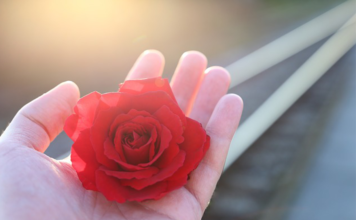 O que é amar de verdade? Vamos falar sobre amor verdadeiro! O que é amar de verdade?