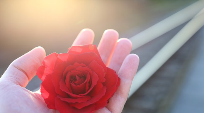 O que é amar de verdade? Vamos falar sobre amor verdadeiro! O que é amar de verdade?