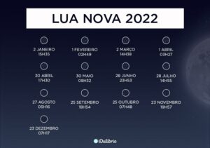 calendario lunar 2022 gravidez - lua nova