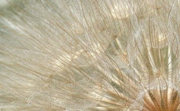 Ritual Angélico 2022 – Libere sua energia negativa, comece a viver em harmonia e atraia prosperidade! Ritual angélico 2022