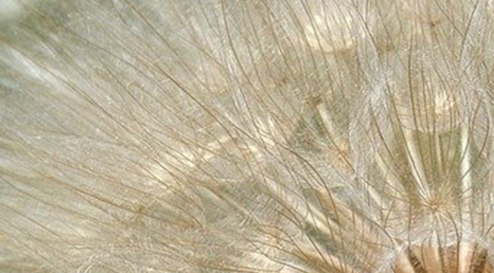 Ritual Angélico 2022 – Libere sua energia negativa, comece a viver em harmonia e atraia prosperidade! Ritual angélico 2022