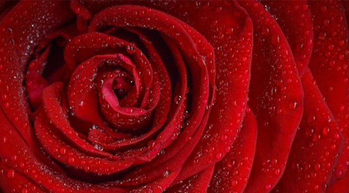 Simpatias para o amor 2023 Simpatia para o amor 2022