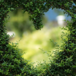 Previsões para o amor em 2022 Amor 2022