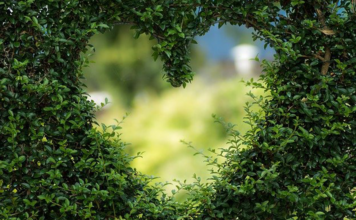 Previsões para o amor em 2022 Amor 2022