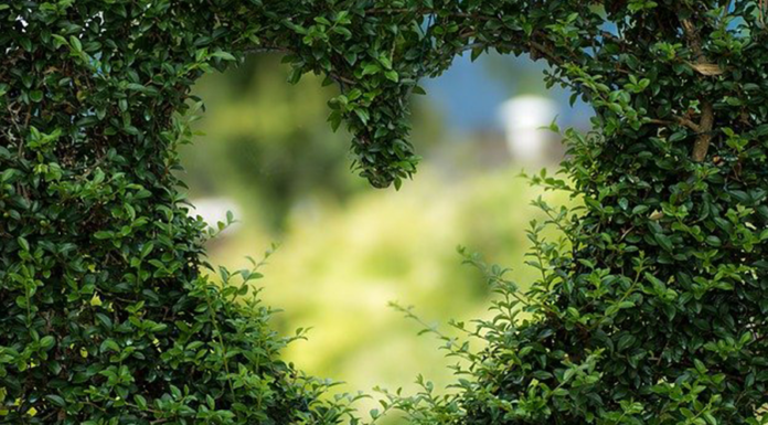 Previsões para o amor em 2022 Amor 2022