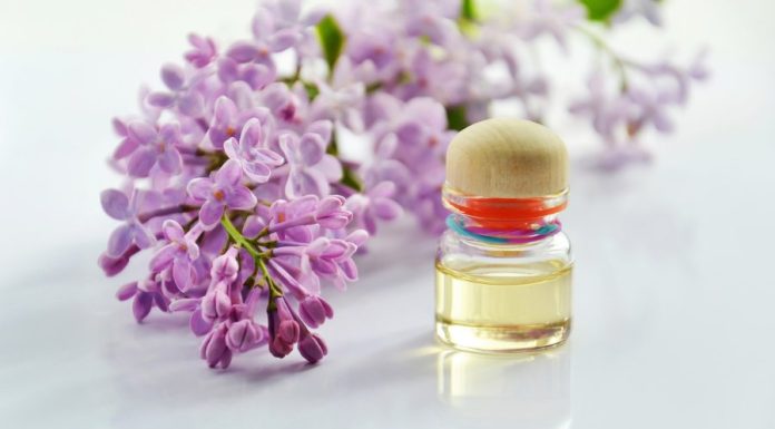 Aromaterapia 2023 – Os melhores aromas para o sucesso em 2023 aromaterapia 2023