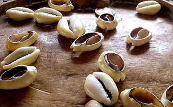 Previsão 2022 pelos Búzios Jogo de Búzios