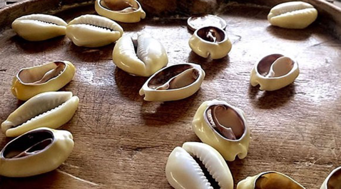 Previsão 2022 pelos Búzios Jogo de Búzios