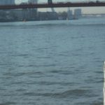 Qual o significado do número 22? O que ele representa? significado do numero 22