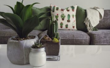 5 dicas de feng shui decoração – Trazendo harmonia para o seu lar!🔆 Feng Shui para sua casa