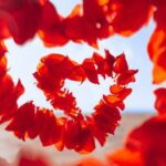 Como encontrar um amor em 2023? Confira dicas! como encontrar um amor