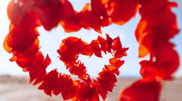 Como encontrar um amor em 2023? Confira dicas! como encontrar um amor