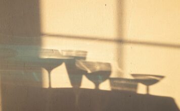 Dia Nacional de Combate ao Alcoolismo | 18 de fevereiro dia-nacional-combate-alcoolismo