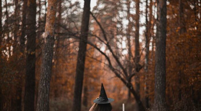 Tipos de bruxa – Com qual você se identifica? Qual tipo de bruxa eu sou?