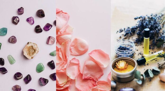 Tudo sobre o amor! Encontre o seu direcionamento aqui! Tudo sobre o amor