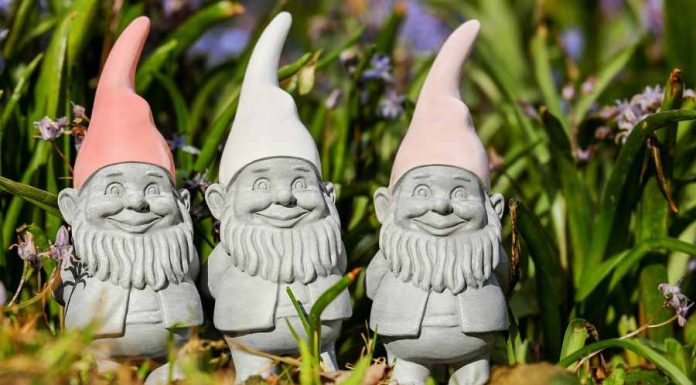 Você sabe o que é gnomo? Conheça esses seres mágicos! O que é gnomo