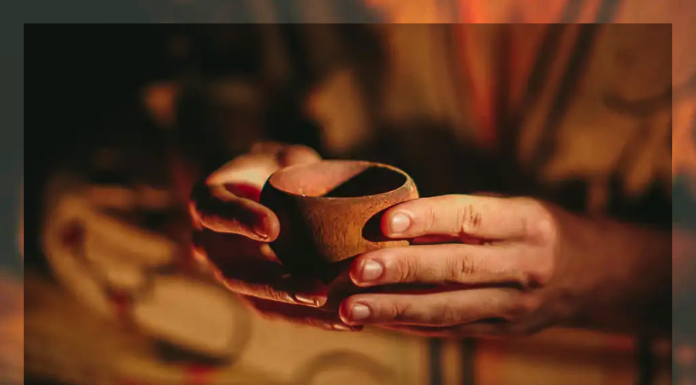 Saiba quais são os benefícios do chá de ayahuasca chá de Ayahuasca