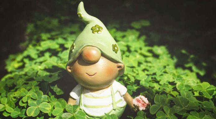 Conhece o Leprechaun? Descubra esse ser mágico e cheio de mistérios! leprechaun