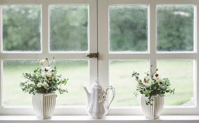 plantas para dentro de casas feng shui