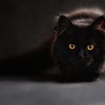 Superstição e significados – Conheça as mais populares superstições do Brasil superstição significado