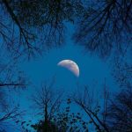 Fases da Lua 2023 – Poder de transformação para 2023