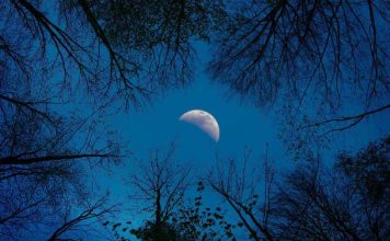 Fases da Lua 2023 – Poder de transformação para 2023