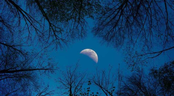 Fases da Lua 2023 – Poder de transformação para 2023