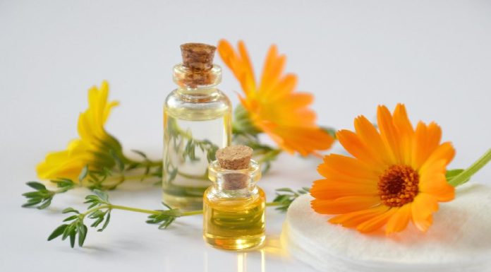 Óleos essenciais para concentração – O poder do óleos❤ Óleos essenciais para concentração