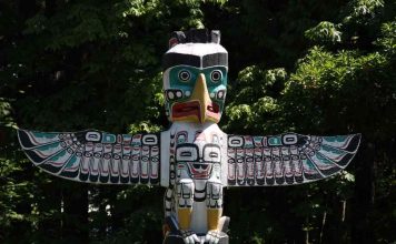 Animal de poder: conheça mais sobre essa força da natureza Animal de poder