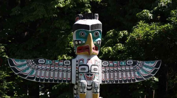 Animal de poder: conheça mais sobre essa força da natureza Animal de poder