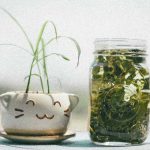 Descubra o chá para limpar a aura e mude a sua vida Chá para limpar a aura