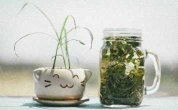 Descubra o chá para limpar a aura e mude a sua vida Chá para limpar a aura