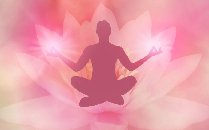 Flor de lótus, confira o seu significado espiritual - iQuilibrio