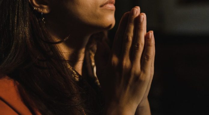 Luta contra a intolerância Religiosa: oração e simpatia pela paz parábola do grão de mostarda