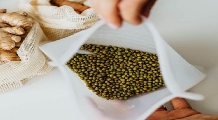 Conheça a Parábola do Grão de Mostarda e o que ela significa parábola do grão de mostarda