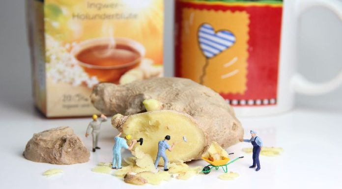 Conheça os benefícios do banho de gengibre Gengibre