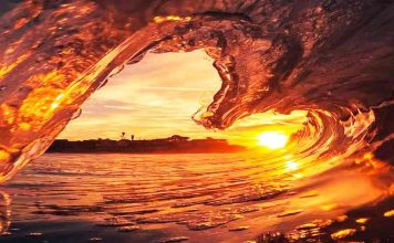 Mensagem de boa tarde: agrade o dia daqueles que você ama Mensagem de boa tarde