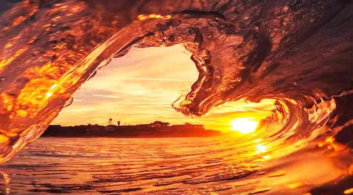 Mensagem de boa tarde: agrade o dia daqueles que você ama Mensagem de boa tarde