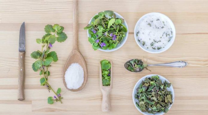 Descubra a simpatia para ter vitória – Consultora Samara simpatia para ter vitória