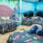 As inclinações naturais de cada participante do BBB24, por Emylian Kali BBB 23 | Feng Shui iQuilibrio