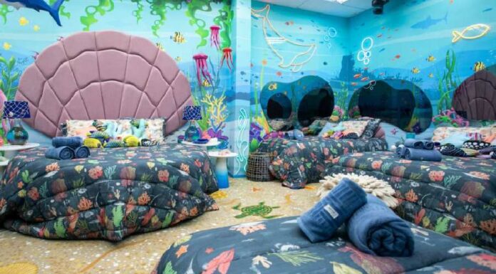 As inclinações naturais de cada participante do BBB24, por Emylian Kali BBB 23 | Feng Shui iQuilibrio