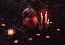 Bruxaria natural – Feitiços utilizando a energia da natureza 🧙♀️